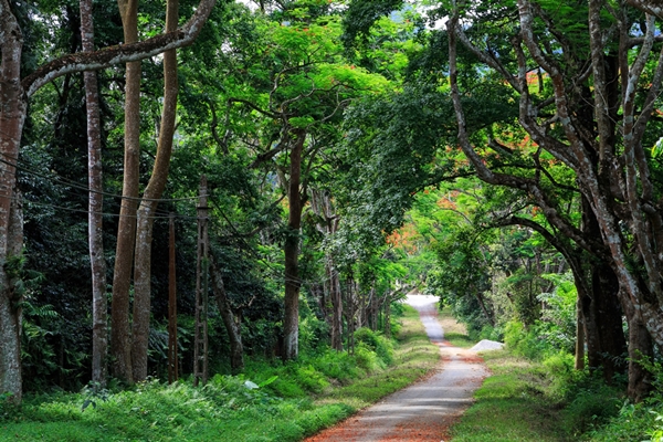 Cuc-phuong-national-park