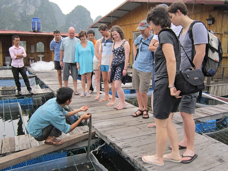 halong-pearl-farm
