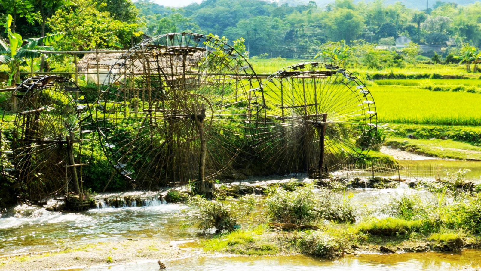 Mai-Chau-Valley