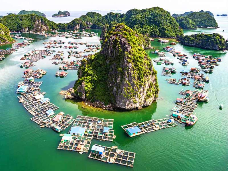 VFloating-Village-in-a-day-trip-in-Halong
